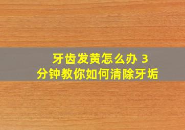 牙齿发黄怎么办 3分钟教你如何清除牙垢